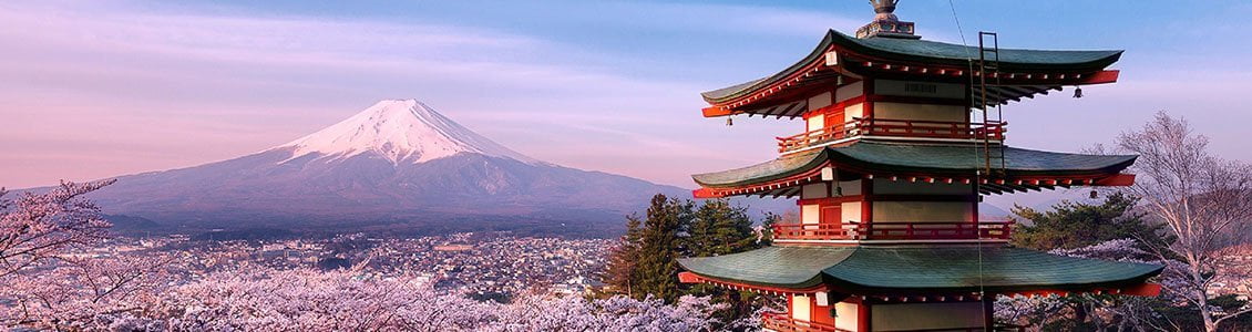 Заказать перевод японский русский